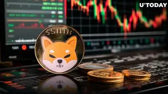 SHIB创下年内新高，上扬幅高达16.67%，还能追吗？的简单介绍